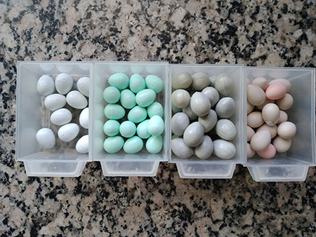 Limpieza y desinfeción de los huevos de plástico